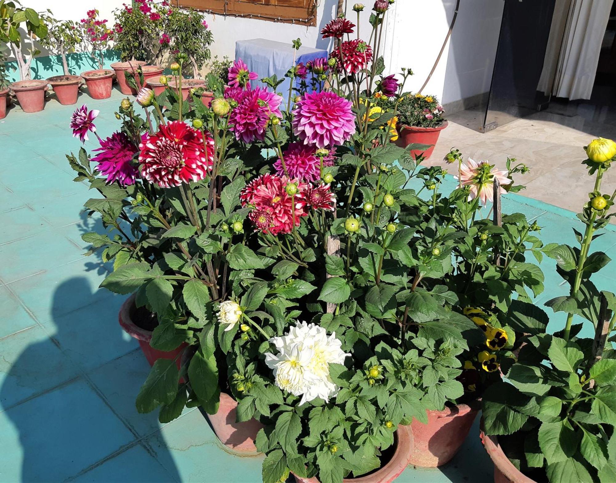 Fully Furnished Ish, Atithya Homestay With Various Amenities And Free Services In Lucknow, India Exterior foto