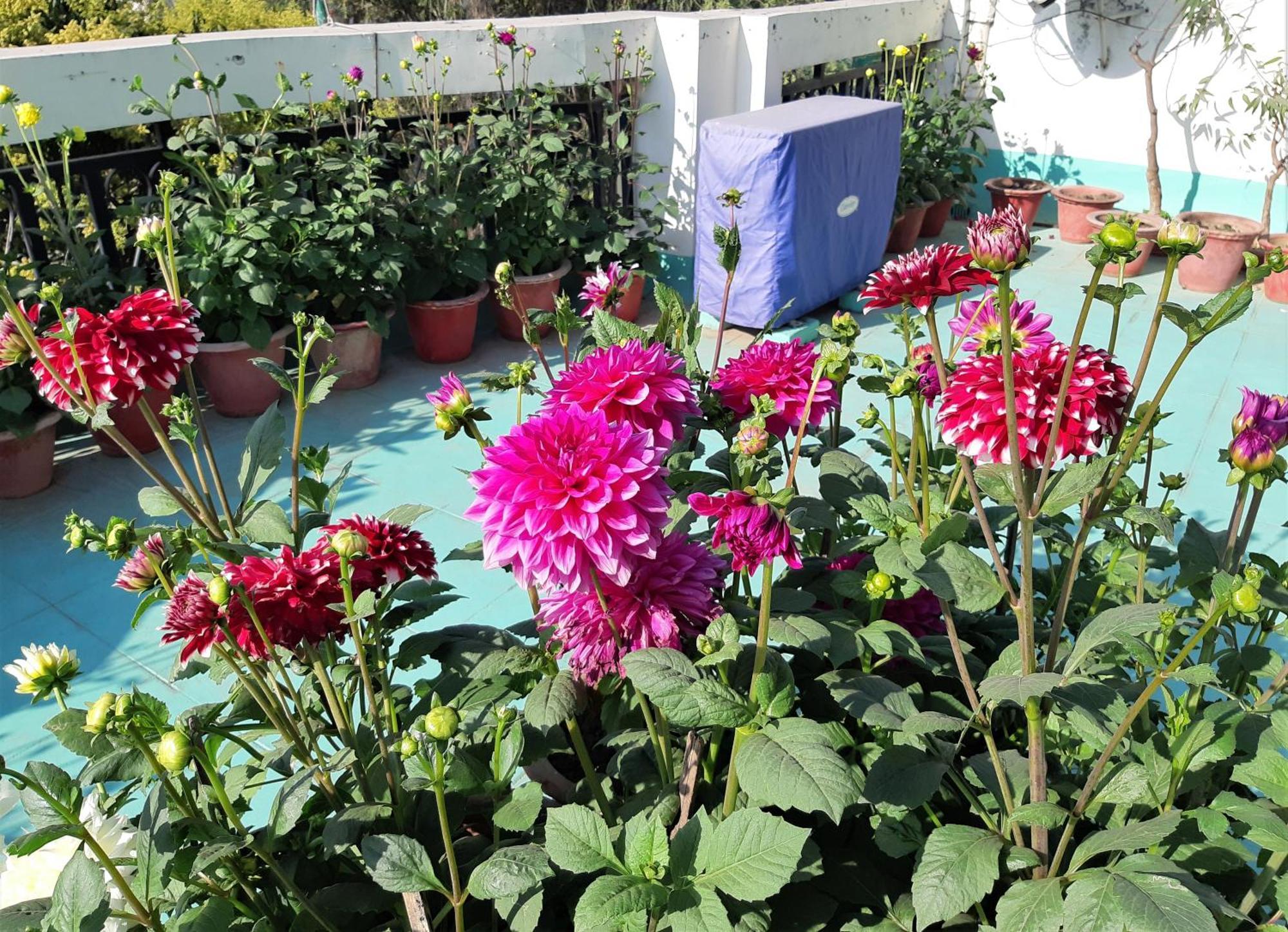 Fully Furnished Ish, Atithya Homestay With Various Amenities And Free Services In Lucknow, India Exterior foto